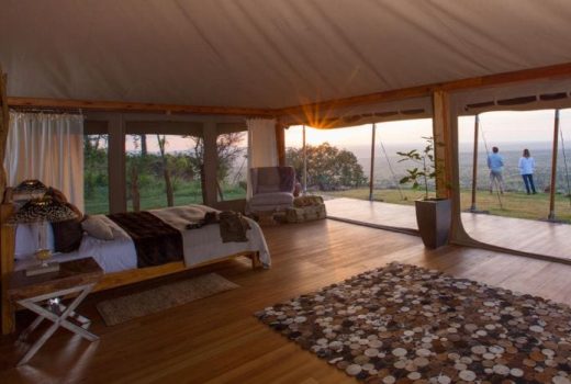 Safari Tents