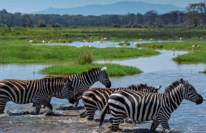 When is the best time to visit Zambia?