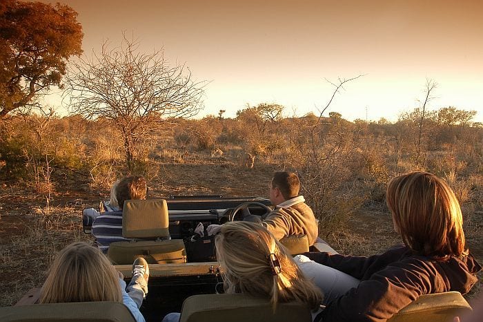 Kids on Safari: 8 Tips for a Bicker-Free Africa Family Safari