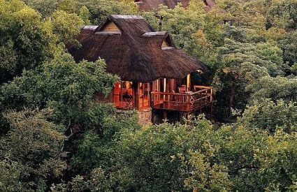 Makweti Safari Lodge