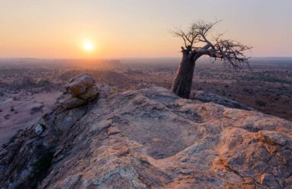 5 Remote Safari Lodges in Botswana