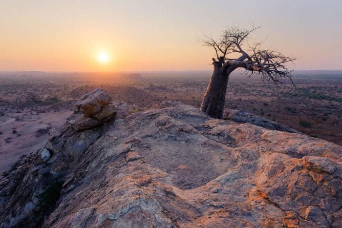 5 Remote Safari Lodges in Botswana