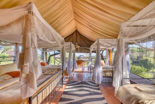 Family Tent