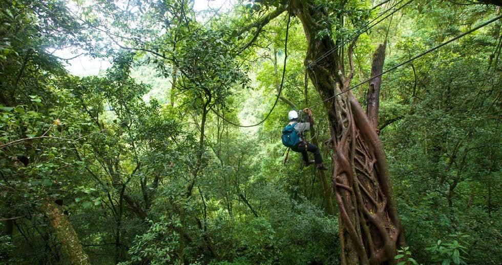 Our Treetop canopy tour experience on the Garden Route