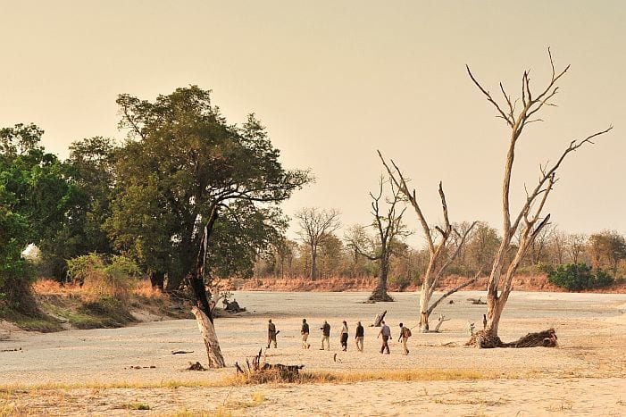 Nsolo Bush Camp