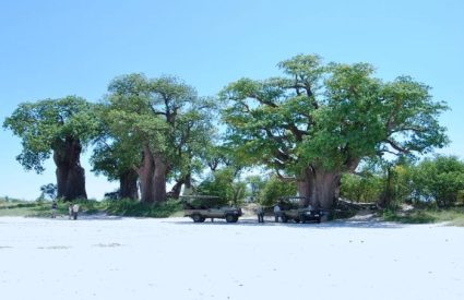 Kwando Nxai Pan Camp