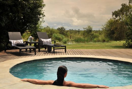 Savanna Suite