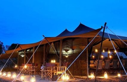 Porini Lion Camp