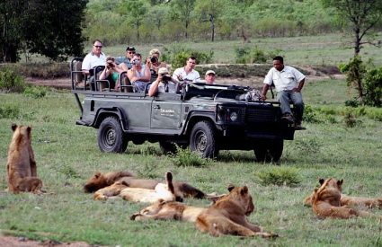 8 Tips to get the Most from your Game Drive