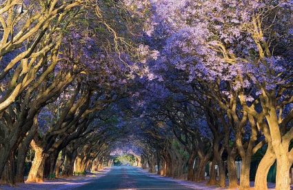 Minding your Ps & Qs – How to choose which car rental model in South Africa is right for YOU in 2026?