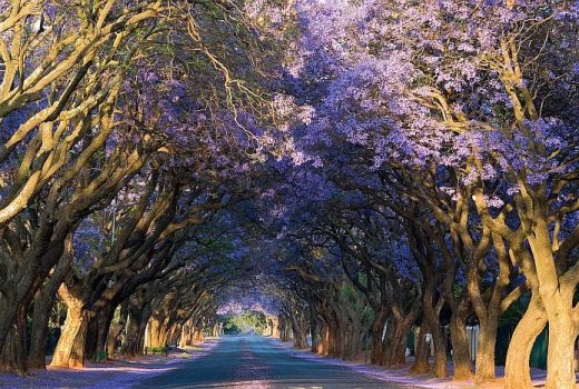 Minding your Ps & Qs – How to choose which car rental model in South Africa is right for YOU in 2026?