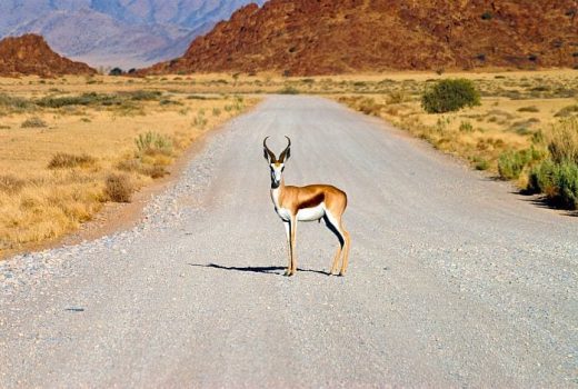 Self Drive Namibia