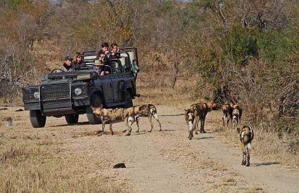 Shindzela Tented Camp