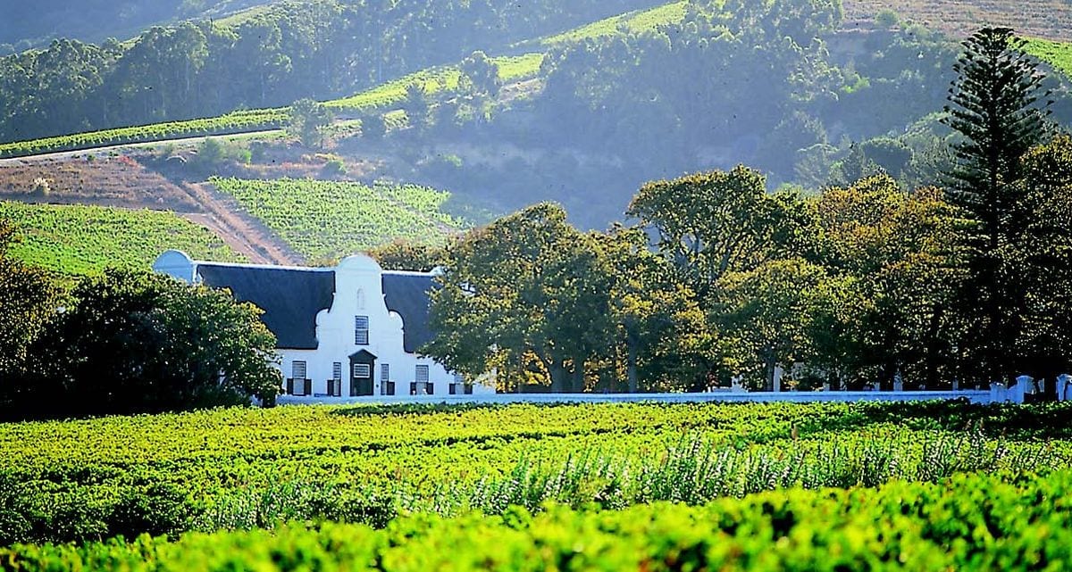Fancy a setting as good as the food? 6 of the best winelands restaurants with a view