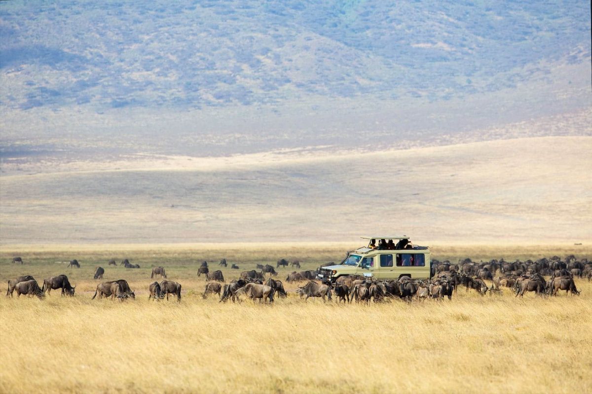 Cedarberg Travel | Northern Tanzania Highlights & Zanzibar