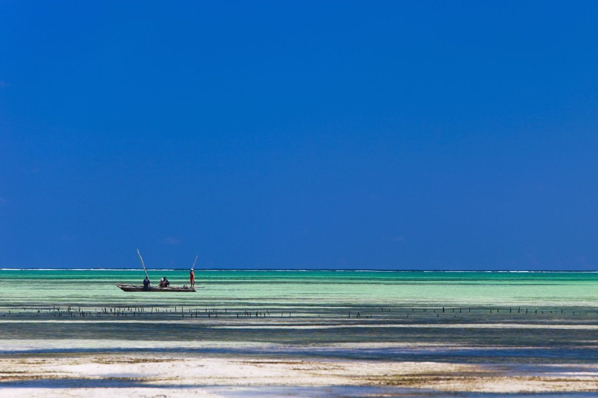 Cedarberg Travel | Luxury Zanzibar Getaway 4 nights
