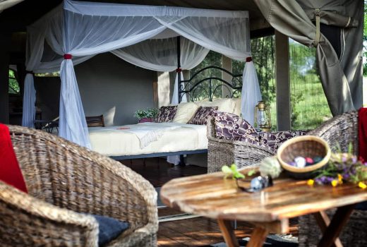 Safari Tent