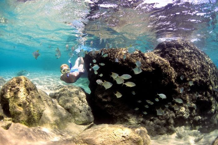 SA-residents-bush-beach-special-offer-Thonga-Beach-Lodge-Ocean-experience-snorkelling-700
