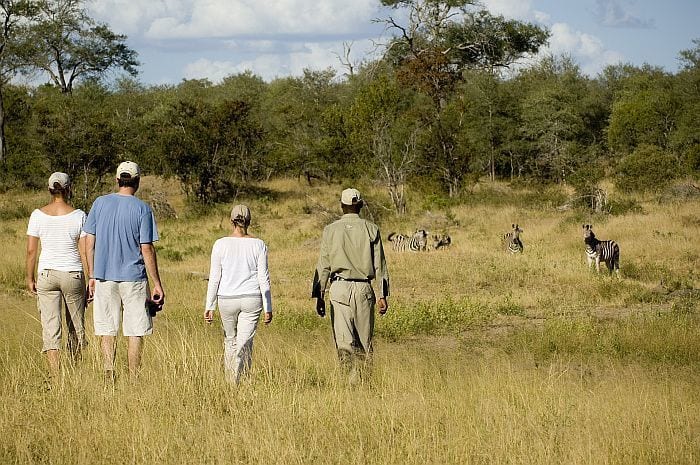 Safari clothing summer
