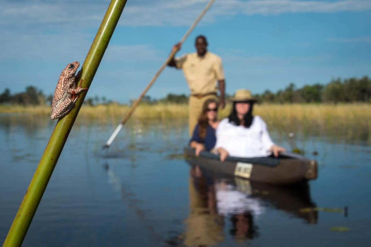 Cedarberg Travel | Little Vumbura