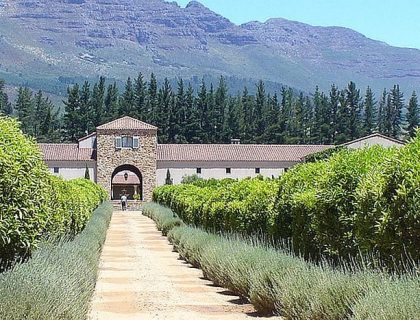 Wine Tours