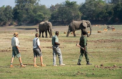 What to wear on safari in South Africa