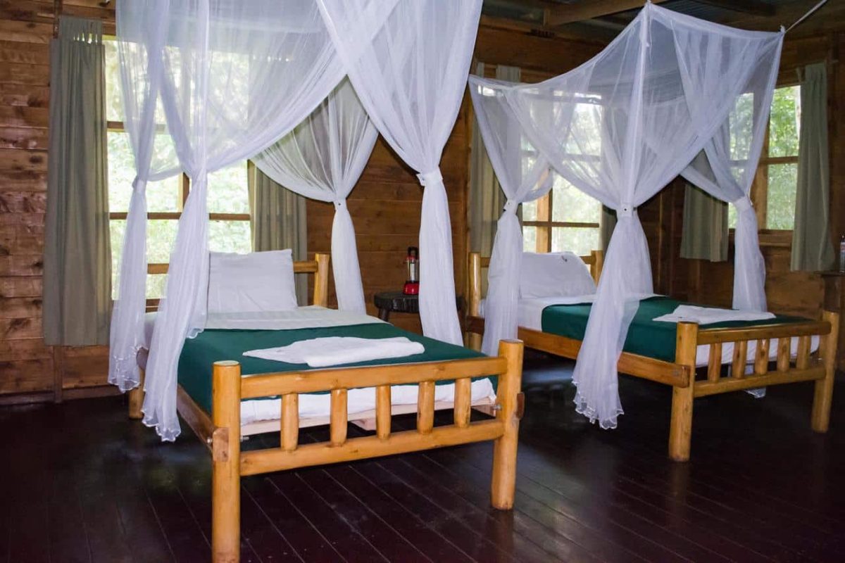Cedarberg Travel | Budongo Eco Lodge