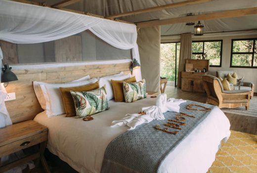 Luxury Tented Suites - Family 