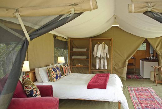 Guest Tent 