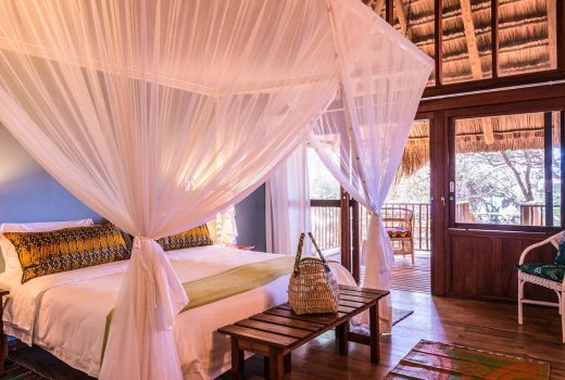 Beach Forest Room