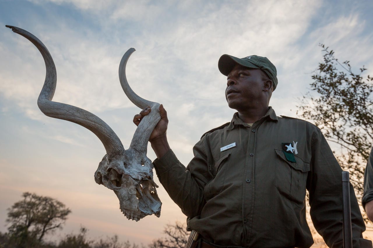 Safari Clothing in Africa – Top Tips for Autumn