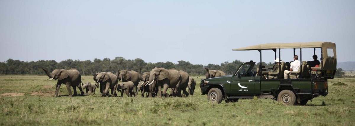 Cedarberg Travel | andBeyond Kichwa Tembo Tented Camp