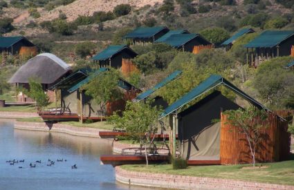 Buffelsdrift Game Lodge