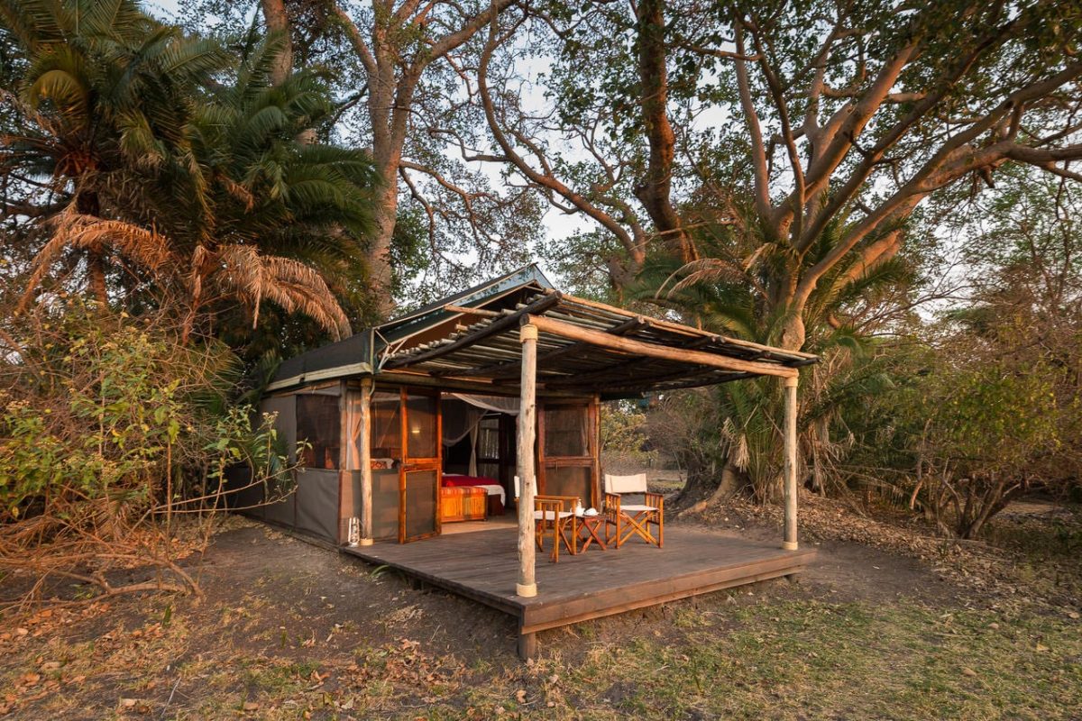 Cedarberg Travel | Busanga Bush Camp