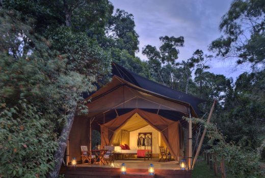 Safari Tent