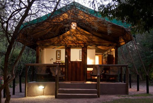 Family Forest Tent