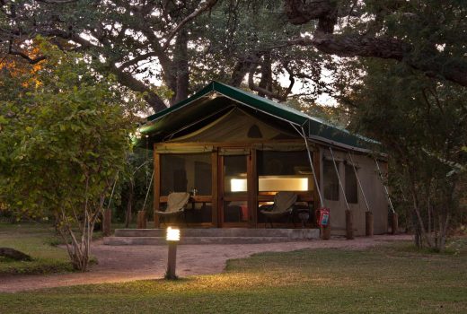 Forest Tent