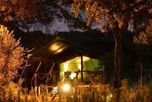 Valley Tent