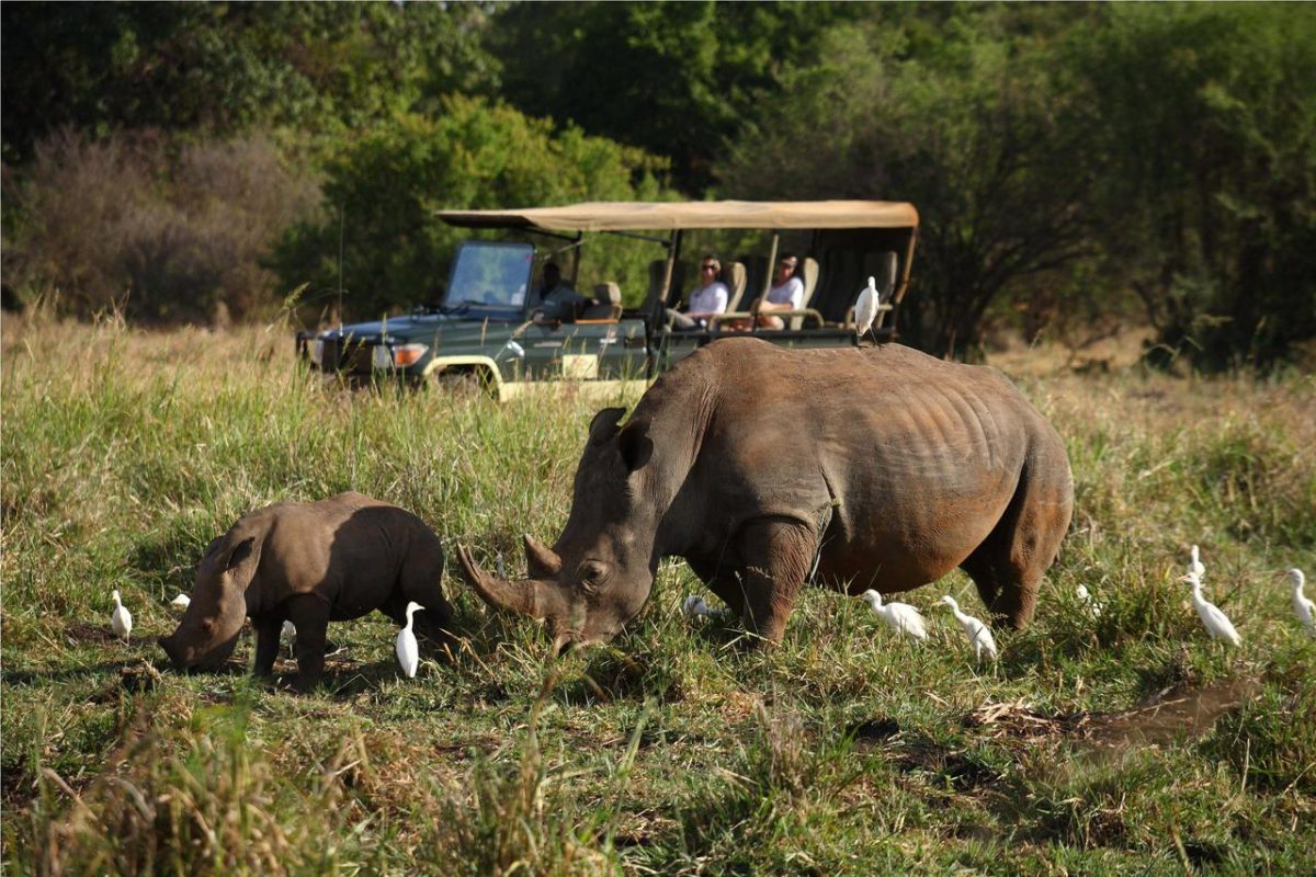 Cedarberg Travel | Kenyan Exploration Fly-in Safari
