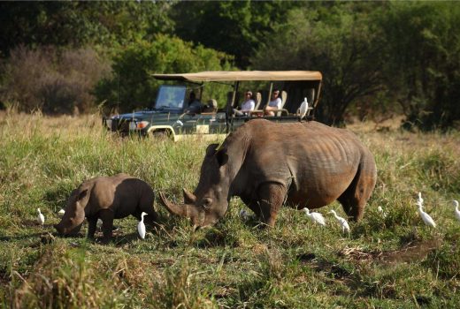 Kenyan Exploration Fly-in Safari