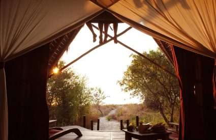 Greystoke Mahale Camp