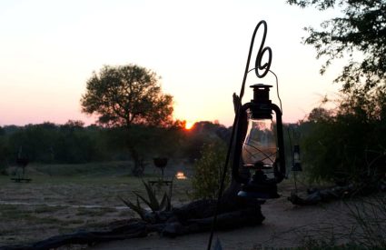 Kambaku Safari Lodge