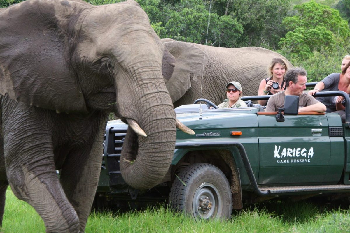 Cedarberg Travel | Eastern Cape Safari at Kariega