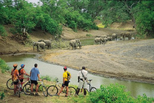 Adventure Safaris