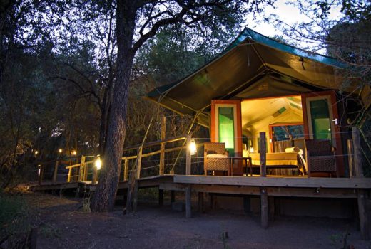 Mashatu Tented Camp