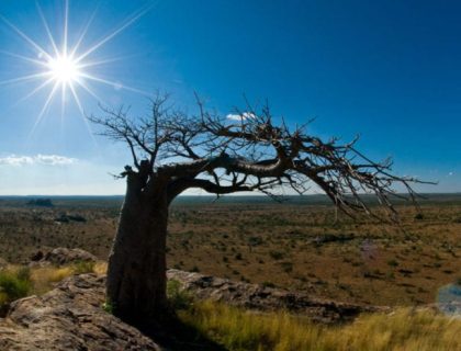 Zeederberg Trail