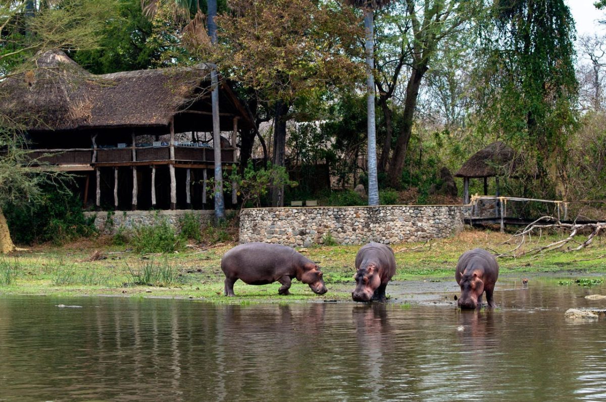 Cedarberg Travel | Mvuu Lodge