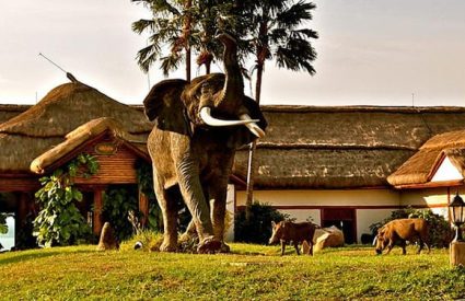 Mweya Safari Lodge