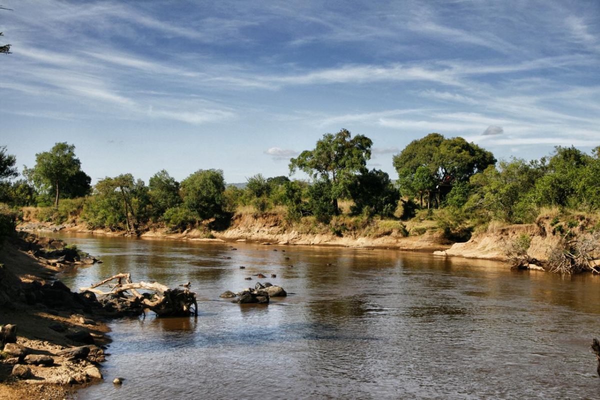 Cedarberg Travel | Ngare Serian Camp