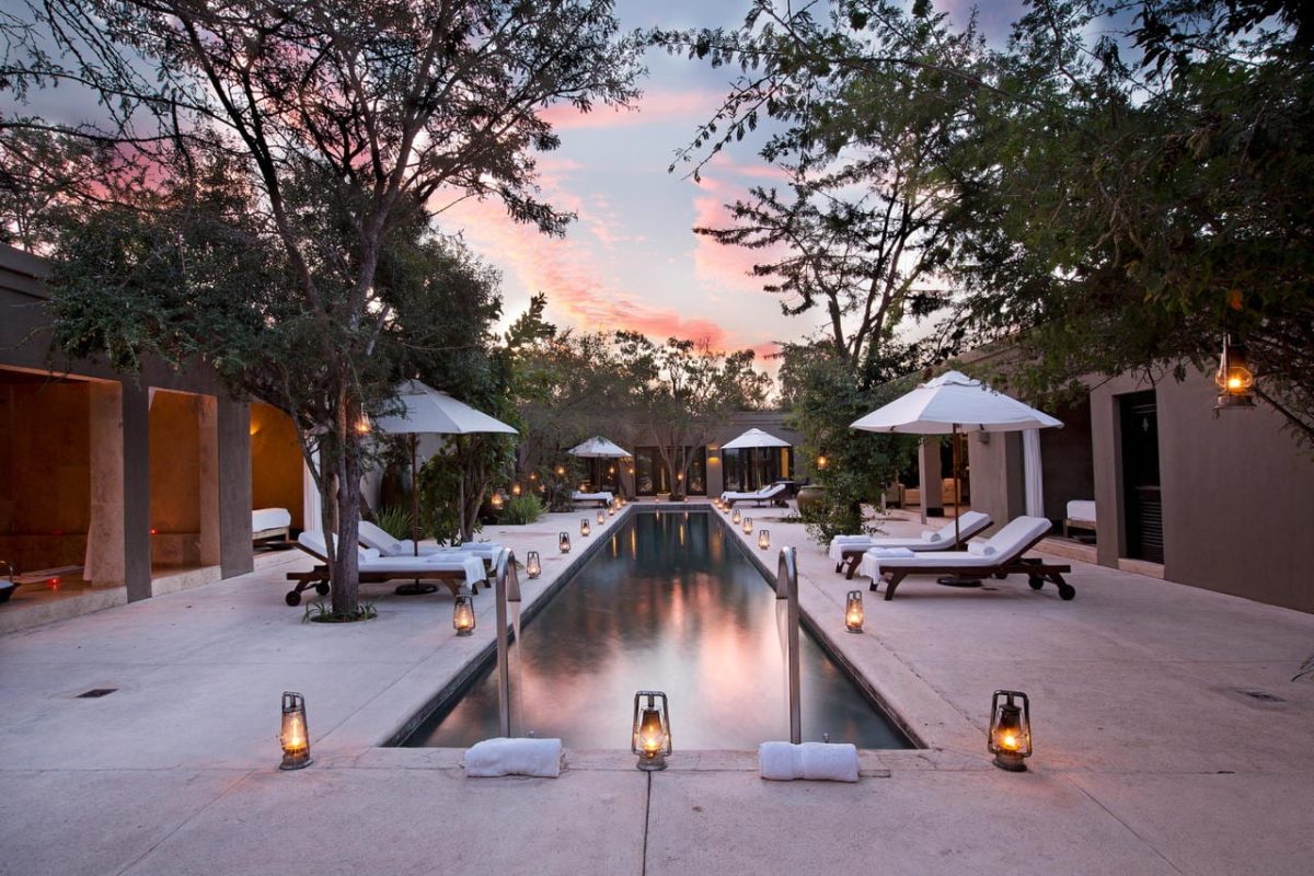 Cedarberg Travel | Malewane Lodge on Royal Malewane